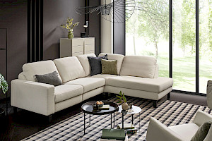 Polstergarnitur Z22295